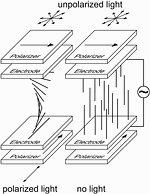 Figure 1. Basic principle of TN display operation